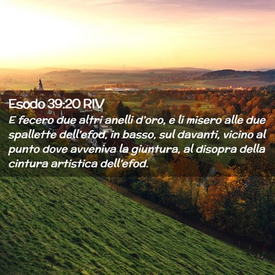 Picture 02 - Esodo 39:20 RIV - E fecero due altri anelli d’oro, e li misero - Bible Verse Picture