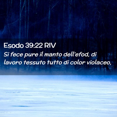 Picture 02 - Esodo 39:22 RIV - Si fece pure il manto dell’efod, di lavoro - Bible Verse Picture