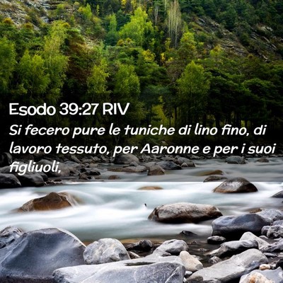 Picture 02 - Esodo 39:27 RIV - Si fecero pure le tuniche di lino fino, di lavoro - Bible Verse Picture