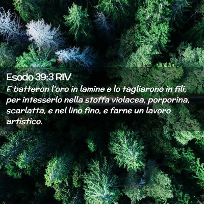 Picture 02 - Esodo 39:3 RIV - E batteron l’oro in lamine e lo tagliarono in - Bible Verse Picture