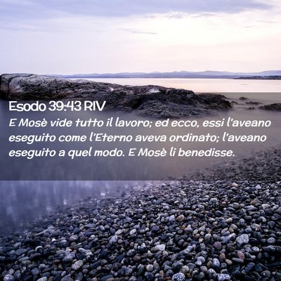 Picture 02 - Esodo 39:43 RIV - E Mosè vide tutto il lavoro; ed ecco, essi - Bible Verse Picture