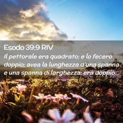 Picture 02 - Esodo 39:9 RIV - Il pettorale era quadrato; e lo fecero doppio; - Bible Verse Picture