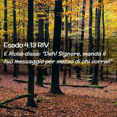 Picture 02 - Esodo 4:13 RIV - E Mosè disse: “Deh! Signore, manda il tuo - Bible Verse Picture
