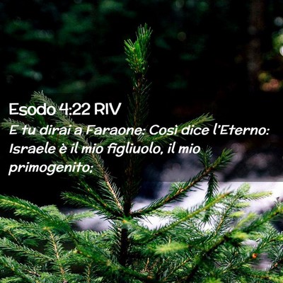 Picture 02 - Esodo 4:22 RIV - E tu dirai a Faraone: Così dice l’Eterno: - Bible Verse Picture