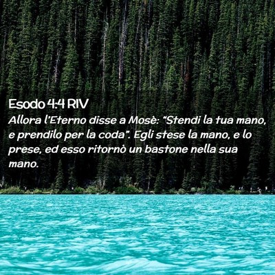 Picture 02 - Esodo 4:4 RIV - Allora l’Eterno disse a Mosè: “Stendi la tua - Bible Verse Picture