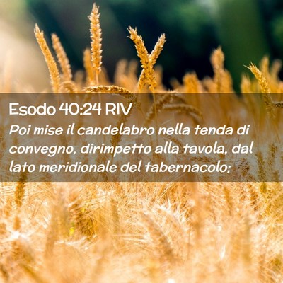 Picture 02 - Esodo 40:24 RIV - Poi mise il candelabro nella tenda di convegno, - Bible Verse Picture
