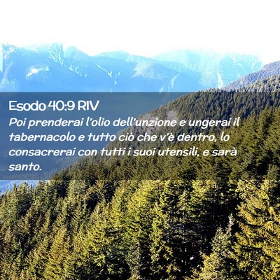Picture 02 - Esodo 40:9 RIV - Poi prenderai l’olio dell’unzione e ungerai - Bible Verse Picture