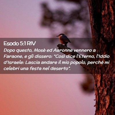 Picture 02 - Esodo 5:1 RIV - Dopo questo, Mosè ed Aaronne vennero a Faraone, - Bible Verse Picture
