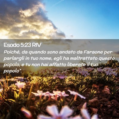 Picture 02 - Esodo 5:23 RIV - Poiché, da quando sono andato da Faraone per - Bible Verse Picture