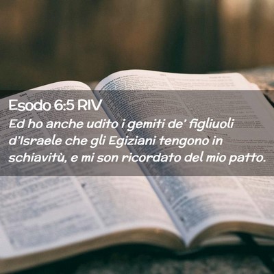 Picture 02 - Esodo 6:5 RIV - Ed ho anche udito i gemiti de’ figliuoli - Bible Verse Picture