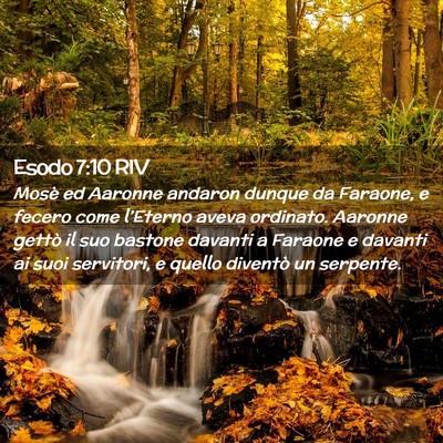 Picture 02 - Esodo 7:10 RIV - Mosè ed Aaronne andaron dunque da Faraone, e - Bible Verse Picture