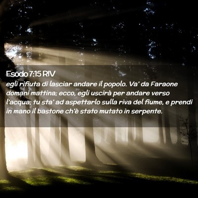 Picture 02 - Esodo 7:15 RIV - egli rifiuta di lasciar andare il popolo. Va’ - Bible Verse Picture
