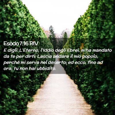 Picture 02 - Esodo 7:16 RIV - E digli: L’Eterno, l’Iddio degli Ebrei, - Bible Verse Picture