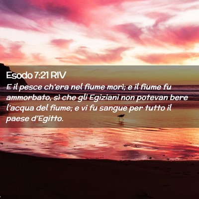 Picture 02 - Esodo 7:21 RIV - E il pesce ch’era nel fiume morì; e il fiume - Bible Verse Picture