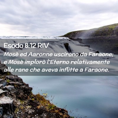 Picture 02 - Esodo 8:12 RIV - Mosè ed Aaronne uscirono da Faraone; e Mosè - Bible Verse Picture