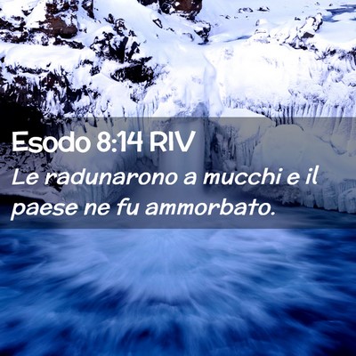 Picture 02 - Esodo 8:14 RIV - Le radunarono a mucchi e il paese ne fu - Bible Verse Picture