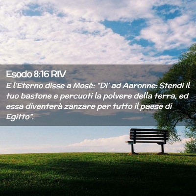 Picture 02 - Esodo 8:16 RIV - E l’Eterno disse a Mosè: “Di’ ad Aaronne: - Bible Verse Picture