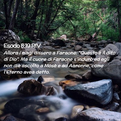 Picture 02 - Esodo 8:19 RIV - Allora i magi dissero a Faraone: “Questo è il - Bible Verse Picture