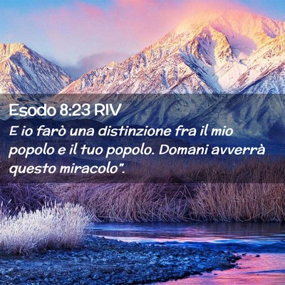Picture 02 - Esodo 8:23 RIV - E io farò una distinzione fra il mio popolo e il - Bible Verse Picture