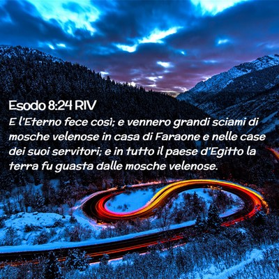 Picture 02 - Esodo 8:24 RIV - E l’Eterno fece così; e vennero grandi sciami - Bible Verse Picture
