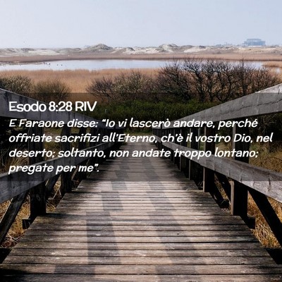 Picture 02 - Esodo 8:28 RIV - E Faraone disse: “Io vi lascerò andare, - Bible Verse Picture