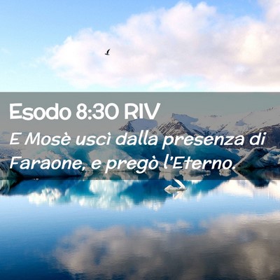 Picture 02 - Esodo 8:30 RIV - E Mosè uscì dalla presenza di Faraone, e pregò - Bible Verse Picture