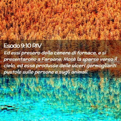 Picture 02 - Esodo 9:10 RIV - Ed essi presero della cenere di fornace, e si - Bible Verse Picture
