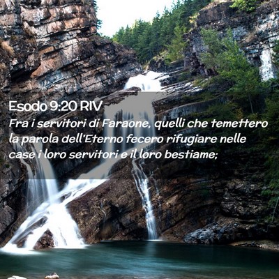 Picture 02 - Esodo 9:20 RIV - Fra i servitori di Faraone, quelli che temettero - Bible Verse Picture