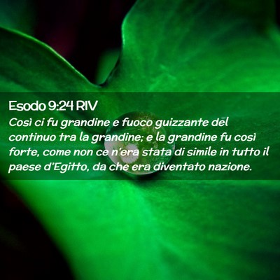 Picture 02 - Esodo 9:24 RIV - Così ci fu grandine e fuoco guizzante del - Bible Verse Picture