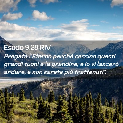 Picture 02 - Esodo 9:28 RIV - Pregate l’Eterno perché cessino questi grandi - Bible Verse Picture
