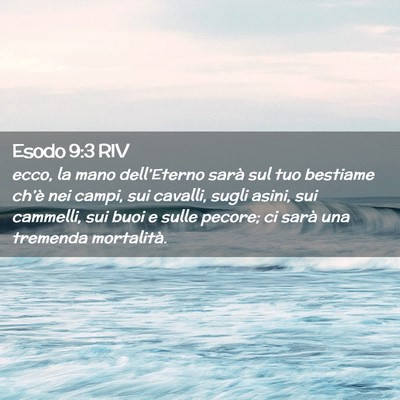 Picture 02 - Esodo 9:3 RIV - ecco, la mano dell’Eterno sarà sul tuo - Bible Verse Picture