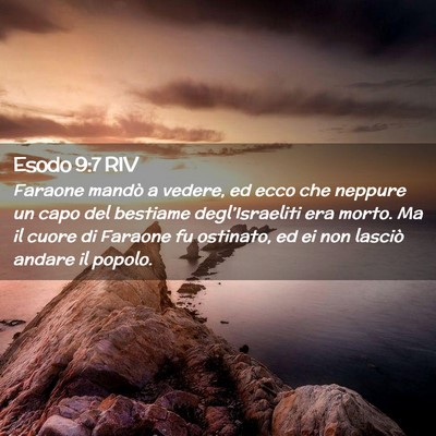 Picture 02 - Esodo 9:7 RIV - Faraone mandò a vedere, ed ecco che neppure un - Bible Verse Picture