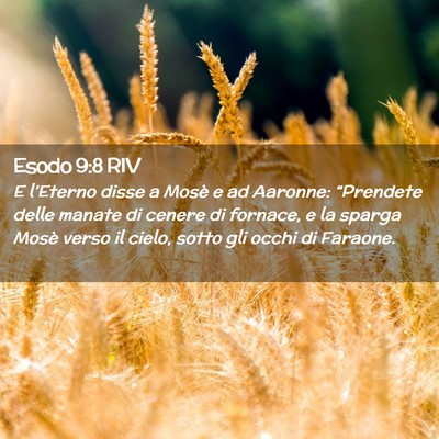 Picture 02 - Esodo 9:8 RIV - E l’Eterno disse a Mosè e ad Aaronne: - Bible Verse Picture