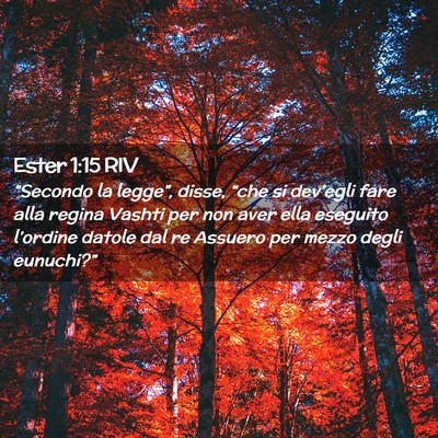 Picture 02 - Ester 1:15 RIV - “Secondo la legge”, disse, “che si - Bible Verse Picture