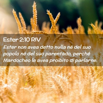 Picture 02 - Ester 2:10 RIV - Ester non avea detto nulla né del suo popolo né - Bible Verse Picture
