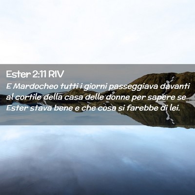 Picture 02 - Ester 2:11 RIV - E Mardocheo tutti i giorni passeggiava davanti al - Bible Verse Picture