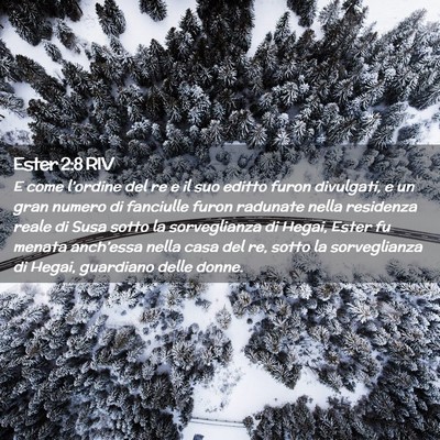Picture 02 - Ester 2:8 RIV - E come l’ordine del re e il suo editto furon - Bible Verse Picture