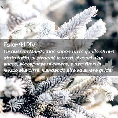 Picture 02 - Ester 4:1 RIV - Or quando Mardocheo seppe tutto quello ch’era - Bible Verse Picture