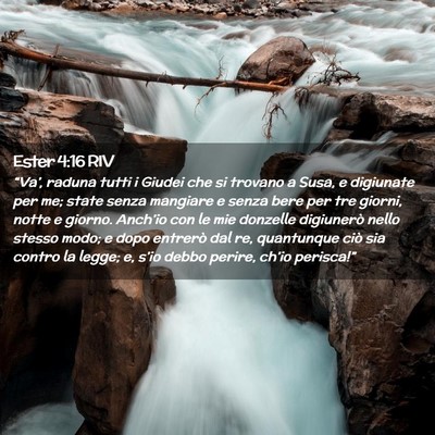 Picture 02 - Ester 4:16 RIV - “Va’, raduna tutti i Giudei che si trovano a - Bible Verse Picture