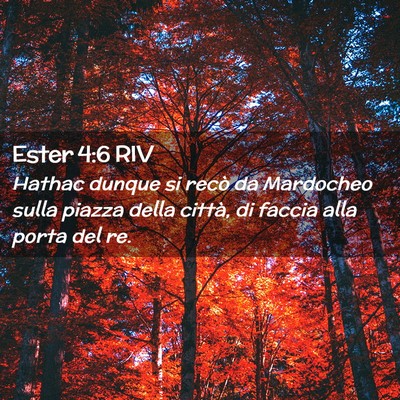 Picture 02 - Ester 4:6 RIV - Hathac dunque si recò da Mardocheo sulla piazza - Bible Verse Picture