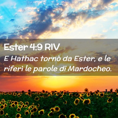 Picture 02 - Ester 4:9 RIV - E Hathac tornò da Ester, e le riferì le parole - Bible Verse Picture