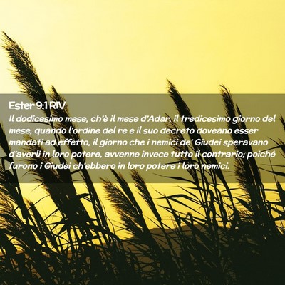 Picture 02 - Ester 9:1 RIV - Il dodicesimo mese, ch’è il mese d’Adar, il - Bible Verse Picture