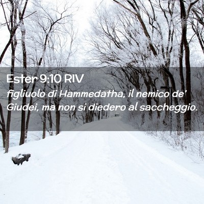 Picture 02 - Ester 9:10 RIV - figliuolo di Hammedatha, il nemico de’ Giudei, - Bible Verse Picture