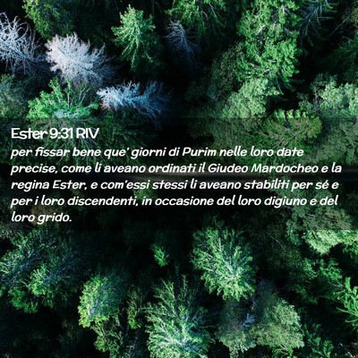 Picture 02 - Ester 9:31 RIV - per fissar bene que’ giorni di Purim nelle loro - Bible Verse Picture