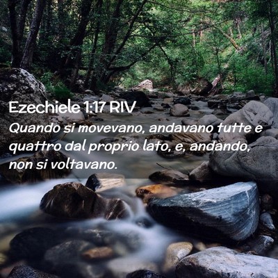 Picture 02 - Ezechiele 1:17 RIV - Quando si movevano, andavano tutte e quattro dal - Bible Verse Picture