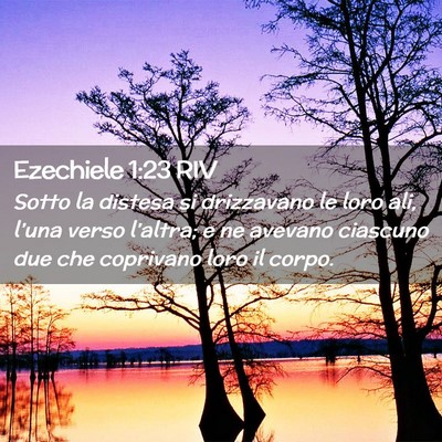 Picture 02 - Ezechiele 1:23 RIV - Sotto la distesa si drizzavano le loro ali, - Bible Verse Picture