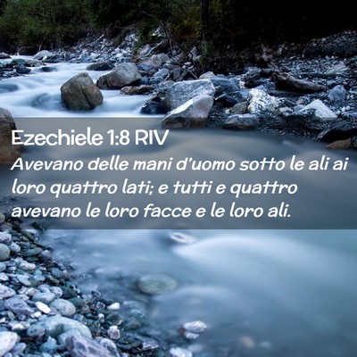 Picture 02 - Ezechiele 1:8 RIV - Avevano delle mani d’uomo sotto le ali ai loro - Bible Verse Picture