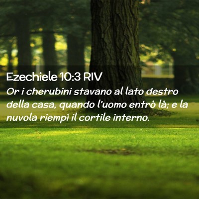 Picture 02 - Ezechiele 10:3 RIV - Or i cherubini stavano al lato destro della casa, - Bible Verse Picture