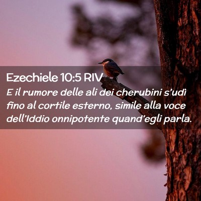 Picture 02 - Ezechiele 10:5 RIV - E il rumore delle ali dei cherubini s’udì fino - Bible Verse Picture