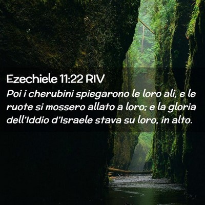 Picture 02 - Ezechiele 11:22 RIV - Poi i cherubini spiegarono le loro ali, e le - Bible Verse Picture
